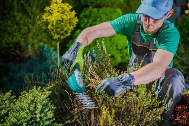 landscaping services Churchville